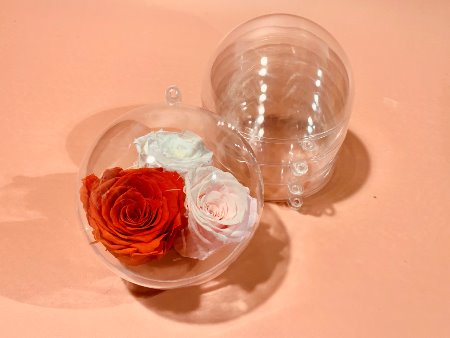 (10cm) 상하분리형투명구 5개입 - 소품장식 데코 꽃볼 석고방향제 선물포장